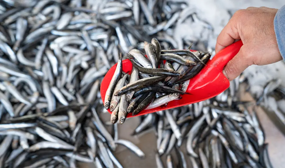 Foto: Perú Sostenible