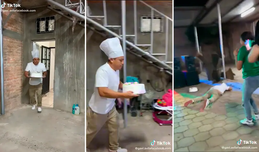 Las graciosas imágenes sacaron más de 4,1 millones de sonrisas en los cibernautas. Foto: composición LR/captura de TikTok/@Gavi.avilafacebook.com