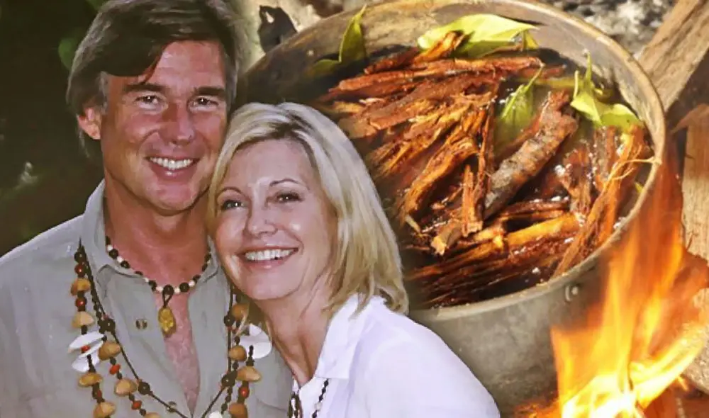 Olivia Newton-john afirmó en vida que la Ayahuasca la ayudó a dejar los antidepresivos. Foto: composición LR/Mirror/Vice Olivia Newton-john afirmó en vida que la Ayahuasca la ayudó a dejar los antidepresivos. Foto: composición LR/Mirror/Vice