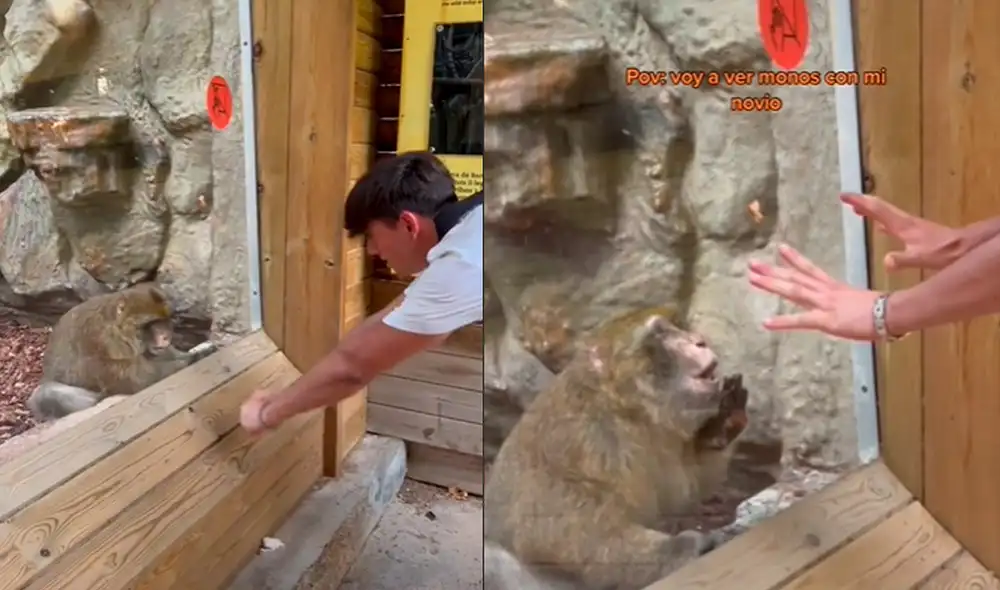 Este hecho sucedió en España. Foto: composición LR / TikTok / @user010405251220