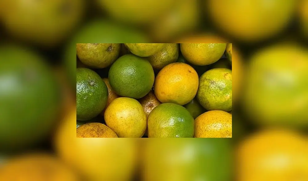 Colombia, por su parte, se incorporó como nuevo destino. Hacia este país, el Perú exportó 34 toneladas por US$ 37.000. Foto: difusión Colombia, por su parte, se incorporó como nuevo destino. Hacia este país, el Perú exportó 34 toneladas por US$ 37.000. Foto: difusión