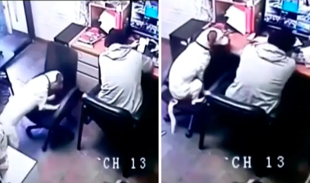 Las tiernas imágenes han logrado miles de visualizaciones en redes sociales. Foto: composición LR/captura de TikTok/@Licres