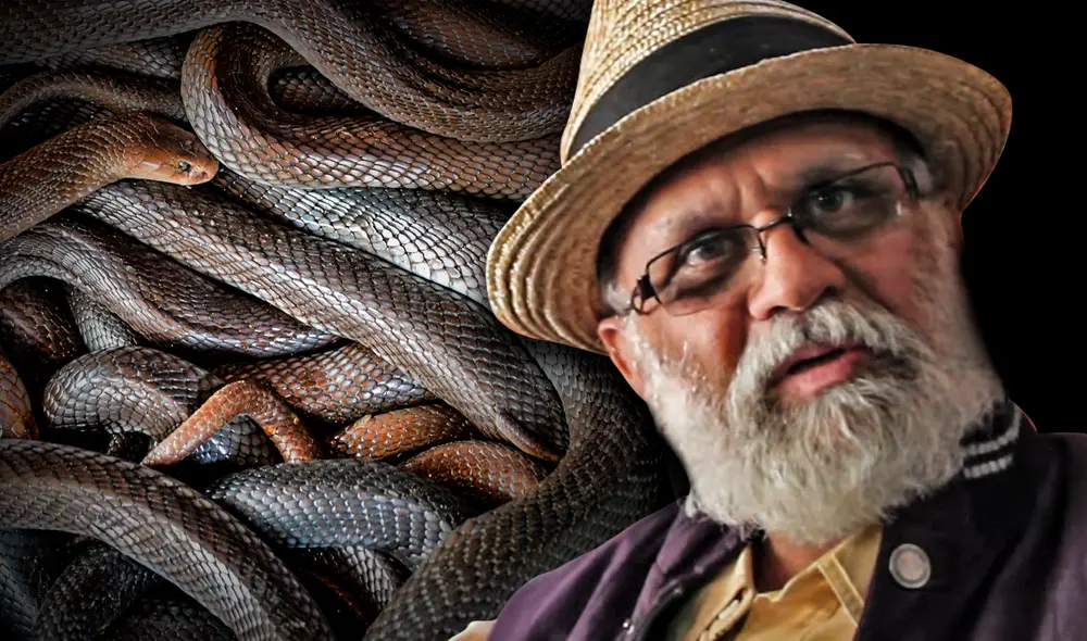 Durante tres días, Kumar permaneció encerrado y no le sucedió nada. Foto: Composición LR/AFP/YouTube/IHS (Indian Herpetological Society)