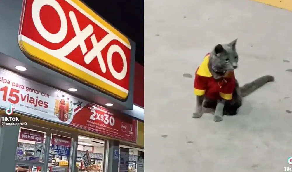 Este hecho sucedió en un Oxxo de México. Foto: composición LR / Twitter / @analucero10 Este hecho sucedió en un Oxxo de México. Foto: composición LR / Twitter / @analucero10