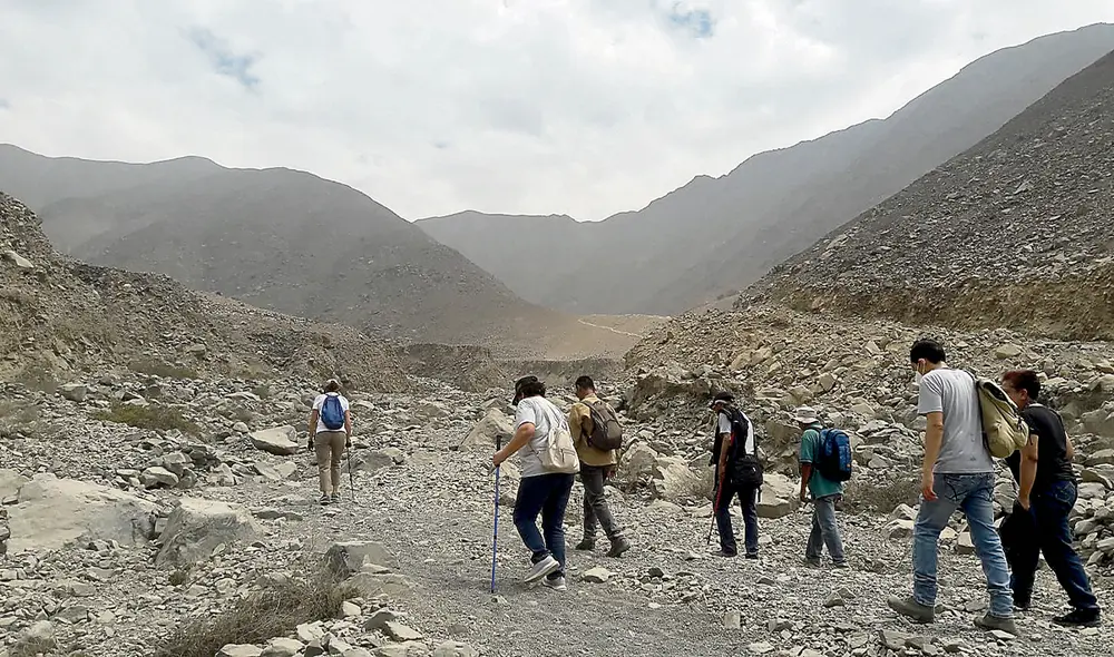 Importante. Bellas líneas son visitadas por arqueólogos. Foto: difusión Importante. Bellas líneas son visitadas por arqueólogos. Foto: difusión