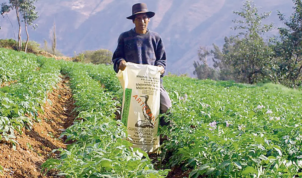 Fertilizante. Desde junio, Perú intenta comprar más de 65.000 toneladas de urea para salvar la campaña agrícola 2022-2023. Foto: difusión
