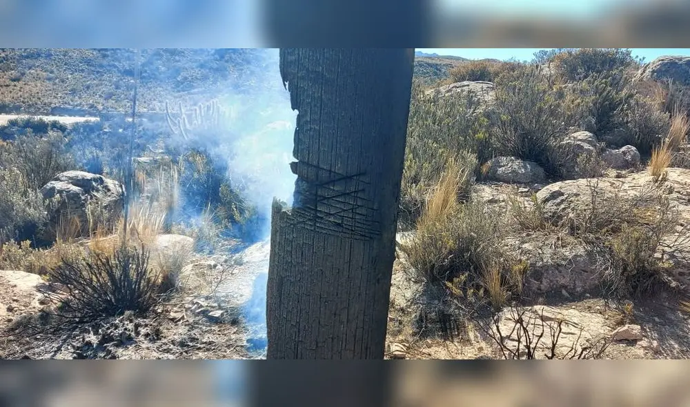 A pesar de atentado, no lograron derribar los postes. Foto: Southern