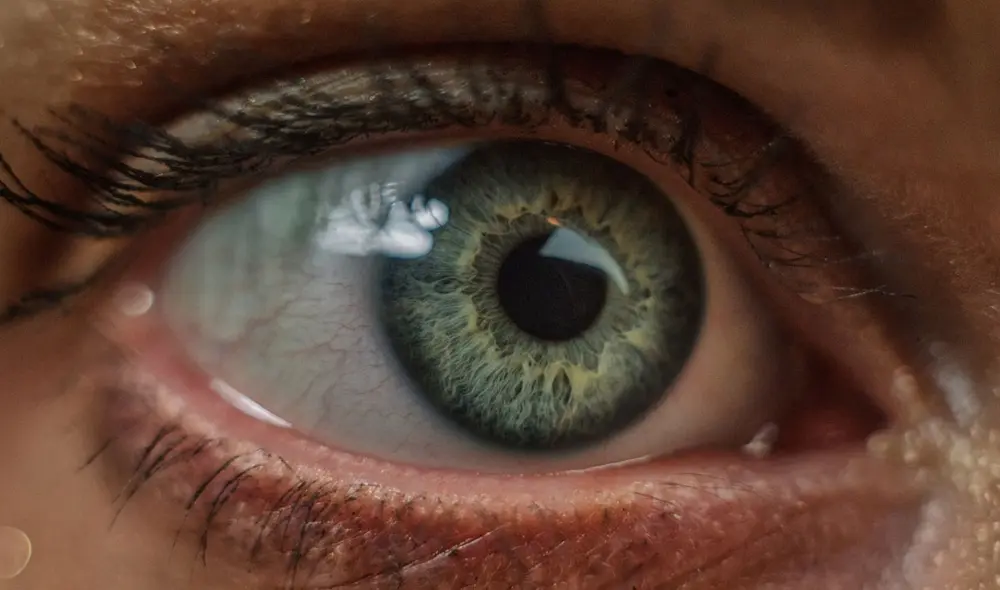 Se trata de implantes hechos a base de proteína de colágeno de piel de cerdo, que da como resultado algo muy parecido a la córnea humana. Foto: referencial/APnews