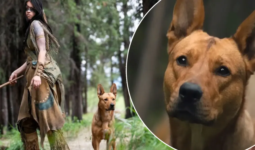 "Depredador: la presa" es la nueva película de la franquicia que ha gustado a los fans. Foto: composición/Star Plus "Depredador: la presa" es la nueva película de la franquicia que ha gustado a los fans. Foto: composición/Star Plus