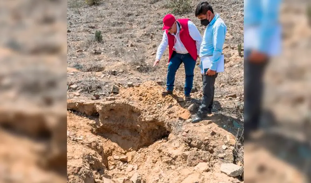 El equipo técnico de la DDC Lambayeque verificó que, en cerca de 50 hectáreas, se encontraron plantaciones de guayaquiles. Foto: DDC Lambayeque El equipo técnico de la DDC Lambayeque verificó que, en cerca de 50 hectáreas, se encontraron plantaciones de guayaquiles. Foto: DDC Lambayeque