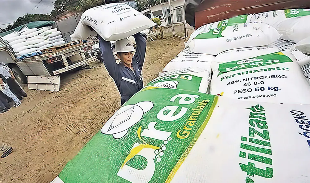 Fertilizante. El Gobierno peruano comprará más de 65.500 toneladas de urea para productores con menos de 5 hectáreas. Fertilizante. El Gobierno peruano comprará más de 65.500 toneladas de urea para productores con menos de 5 hectáreas.