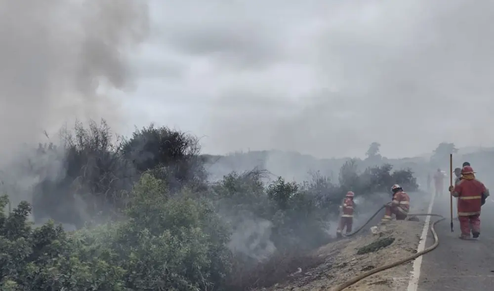 Se conoció que el siniestro ocurrió en la jurisdicción del centro poblado La Capilla. FOTO: RSD Chimbote