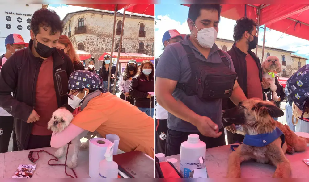 Muchas personas acudieron a la campaña para vacunar a sus mascotas. Foto: Composición LR/La República Muchas personas acudieron a la campaña para vacunar a sus mascotas. Foto: Composición LR/La República