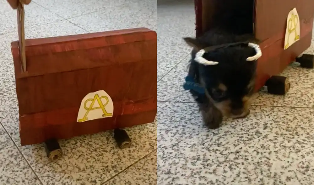 Este video ha superado los 2 millones de likes en TikTok. Foto: composición LR / TikTok / @arantxamasip Este video ha superado los 2 millones de likes en TikTok. Foto: composición LR / TikTok / @arantxamasip