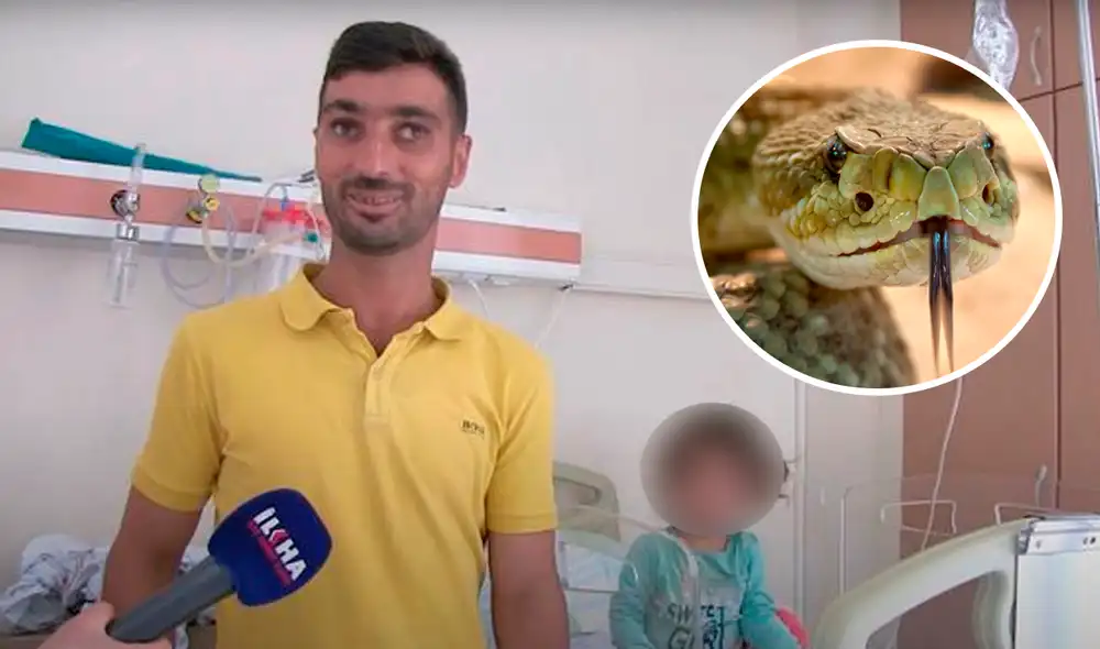 Uno de los vecinos (que escuchó a la niña) mató a la serpiente y le brindó a la niña los primeros auxilios. Foto: The Mirror/ ExpertoAnimal