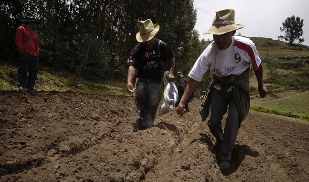 "La próxima semana debemos terminar con todos los procedimientos para que los barcos [con la urea] ya estén rumbo al Perú," afirmó el titular del Midagri. Foto: logistica360.pe