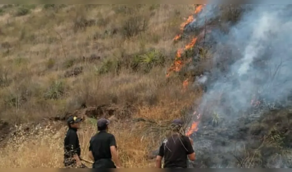 Más de 30 personas, entre bomberos, la policía, comuneros y trabajadores municipales lograron controlar el fuego. Foto: La República Más de 30 personas, entre bomberos, la policía, comuneros y trabajadores municipales lograron controlar el fuego. Foto: La República