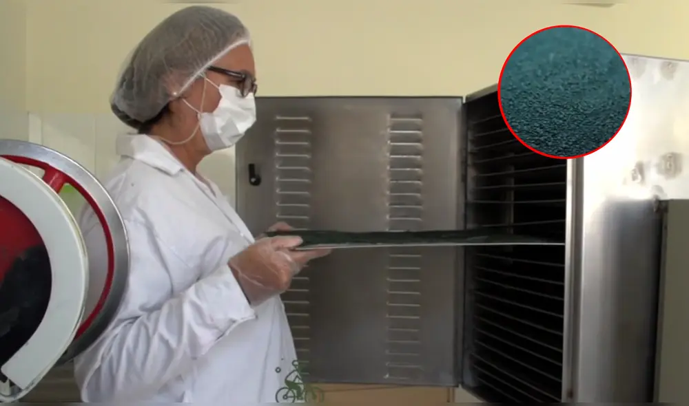 Proyecto fue cofinanciado por programa del Ministerio de la Producción. Foto: composición LR/ProInnóvate