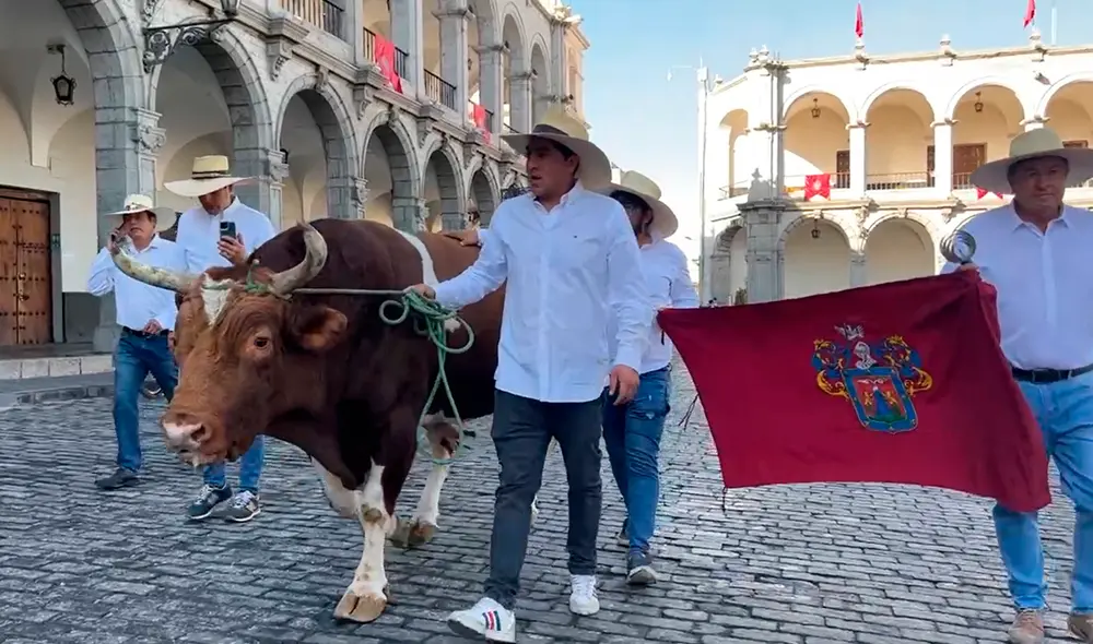 Actualmente, el toro Jeremías tiene 3 victorias. Foto: Frase Corta/La República