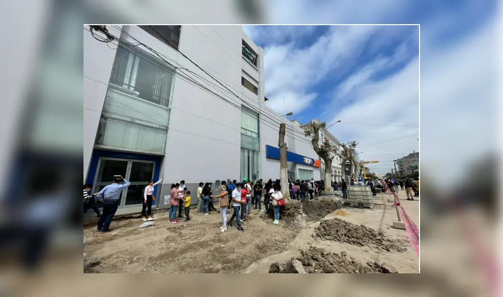 La Municipalidad Provincial de Chiclayo no respondió sobre la poda de árboles en la avenida José Balta. Foto: Rosa Quincho/ URPI-LR La Municipalidad Provincial de Chiclayo no respondió sobre la poda de árboles en la avenida José Balta. Foto: Rosa Quincho/ URPI-LR