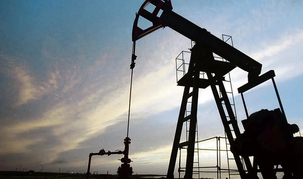 Norma express. Lotes se encuentran en plena actividad. Foto: difusión