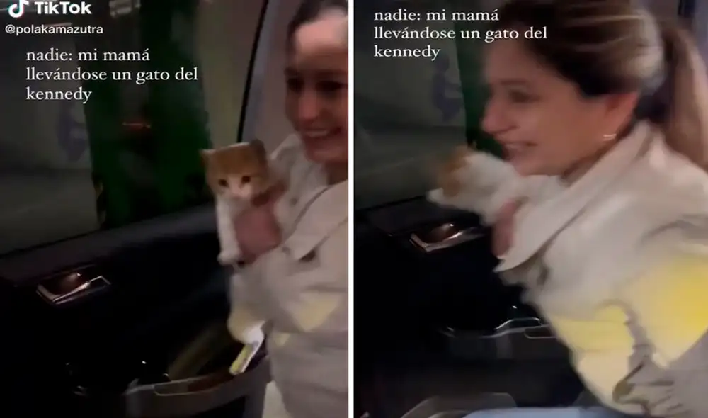 Una joven grabó el preciso momento en que su madre se subió al carro con el felino en sus brazos. Foto: composición LR/TikTok/@paolamerinoswift Una joven grabó el preciso momento en que su madre se subió al carro con el felino en sus brazos. Foto: composición LR/TikTok/@paolamerinoswift