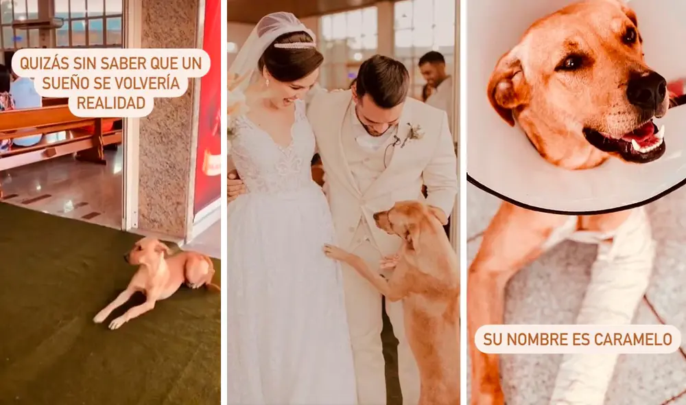 El can esperó que culminara la ceremonia para acercarse a los novios, quienes se detuvieron por unos minutos para acariciarlo. Foto: composición LR/Facebook/Yesidogpr