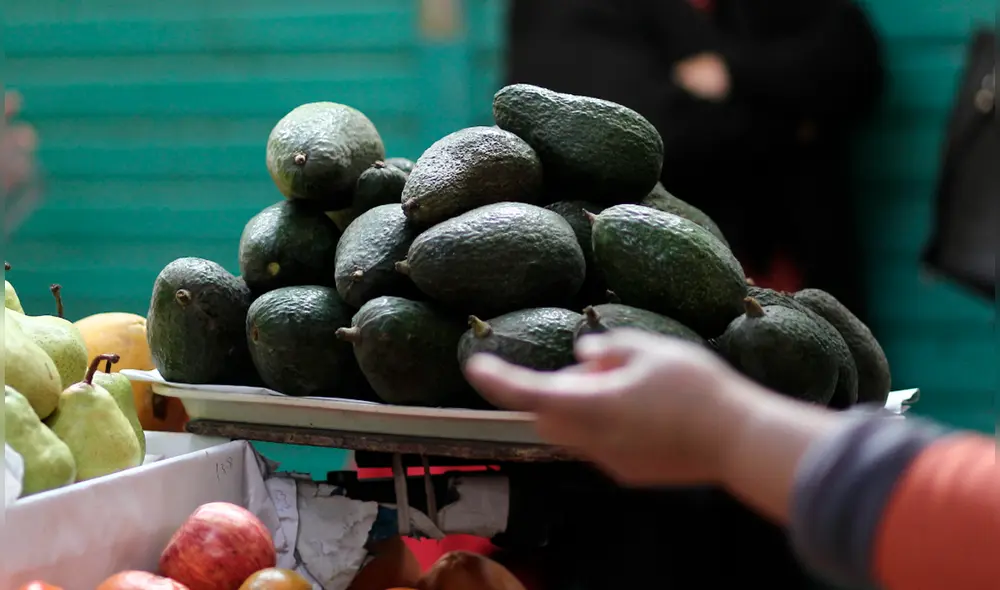 ProHass explicó que también el incremento del flete naviero y la paridad entre el euro y el dólar, alcanzada hace unas semanas, afectaron los despachos de palta peruana en el mundo. Foto: La República ProHass explicó que también el incremento del flete naviero y la paridad entre el euro y el dólar, alcanzada hace unas semanas, afectaron los despachos de palta peruana en el mundo. Foto: La República