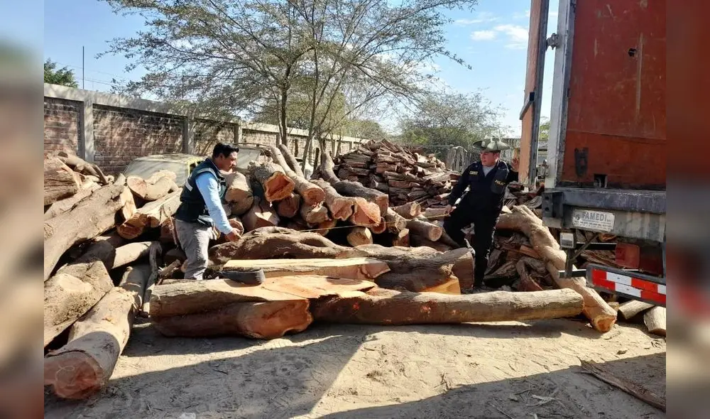 Intervinieron el producto forestal en una de las trochas carrozables del centro poblado San Francisco. Foto: Serfor