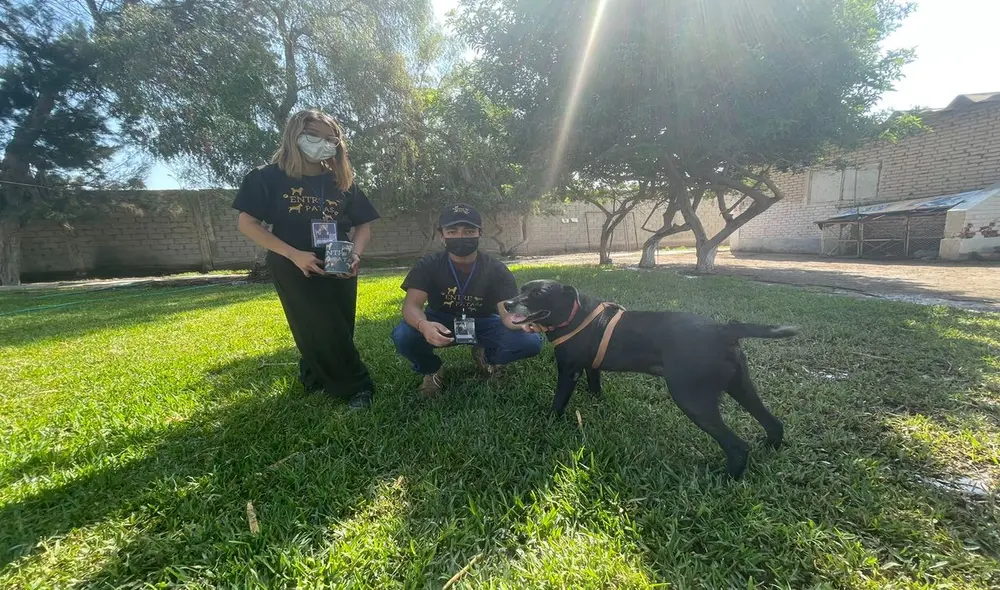 Integrantes de la ONG "Entre patas" solicitaron el apoyo económico de la población para seguir financiando el cuidado de sus canes. Foto: Rosa Quincho-URPI/LR-Norte