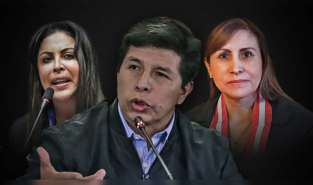 Patricia Chirinos ocupa el cargo de vicepresidencia de la Comisión de Fiscalización. Foto: Composición Fabrizio Oviedo/LR/Andina/Presidencia