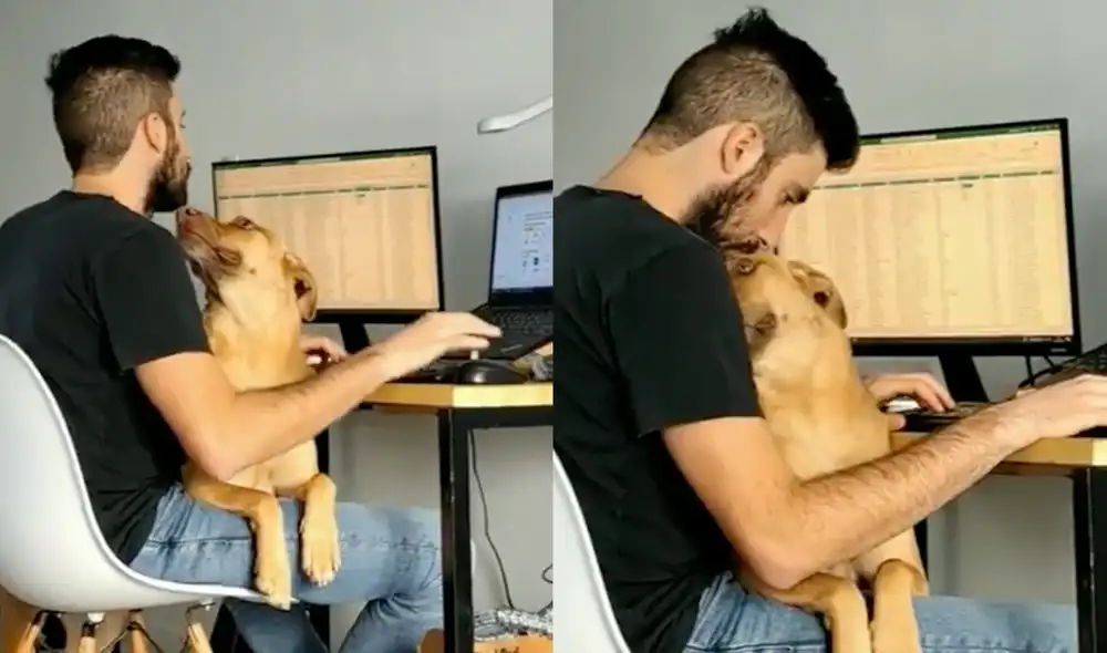 Este video ha superado los 2 millones de reproducciones. Foto: composición LR / Twitter / @oigre5keko Este video ha superado los 2 millones de reproducciones. Foto: composición LR / Twitter / @oigre5keko