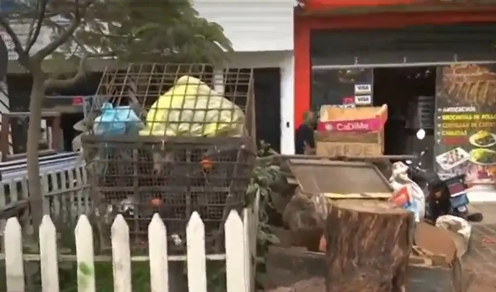 La leña que se utiliza en una pollería estaba ubicada en la vereda, afuera del lugar. Foto: captura ATV
