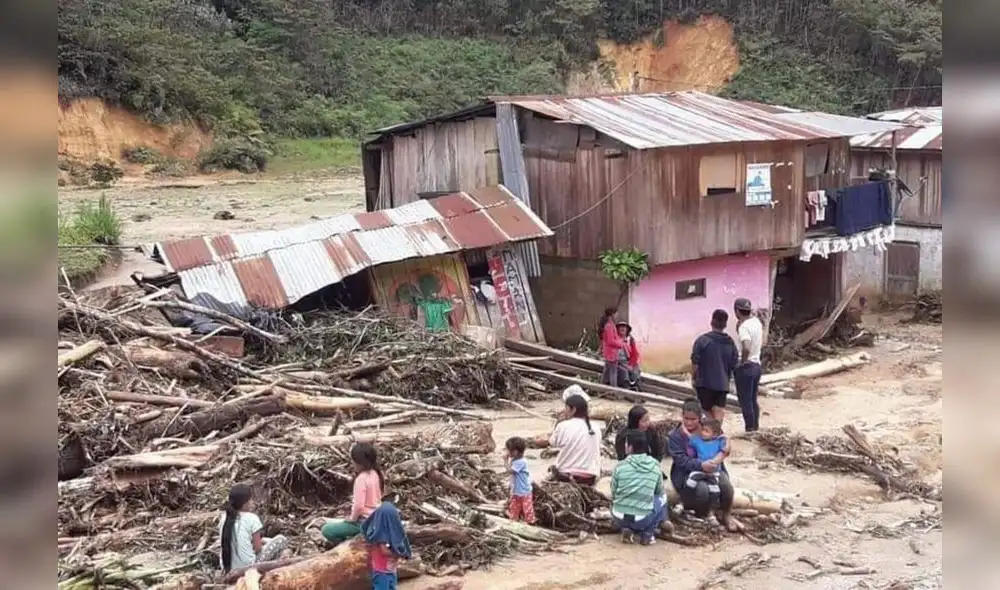 El Poder Ejecutivo reglamentó la Ley n.º 31526. Foto: Andina El Poder Ejecutivo reglamentó la Ley n.º 31526. Foto: Andina
