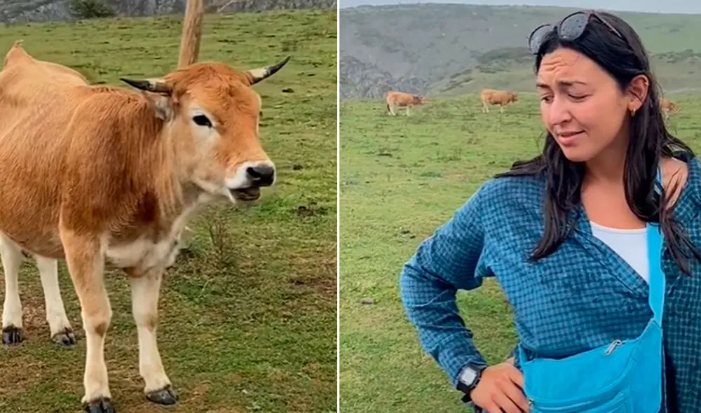 Miles de usuarios no han parado de reír con esta estupenda imitación. Foto: composición LR/TikTok/@sofi.lesta