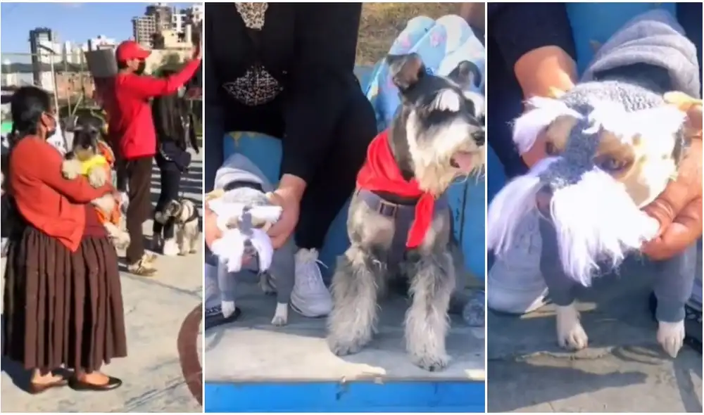 El video cuenta con cientos de 'me gusta' en TikTok y otras redes sociales. Foto: composición LR/@karolinejhoselin/TikTok El video cuenta con cientos de 'me gusta' en TikTok y otras redes sociales. Foto: composición LR/@karolinejhoselin/TikTok