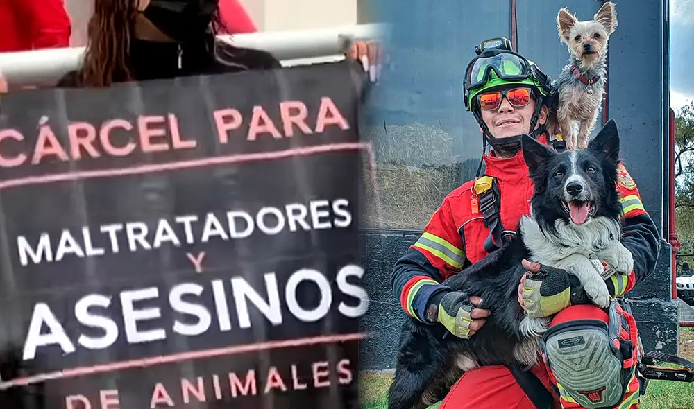 Sospechoso podría cumplir condena de 4 a 7 años de cárcel. Foto: composición/LR/Milenio/ATHOS sar-dog/Facebook Sospechoso podría cumplir condena de 4 a 7 años de cárcel. Foto: composición/LR/Milenio/ATHOS sar-dog/Facebook