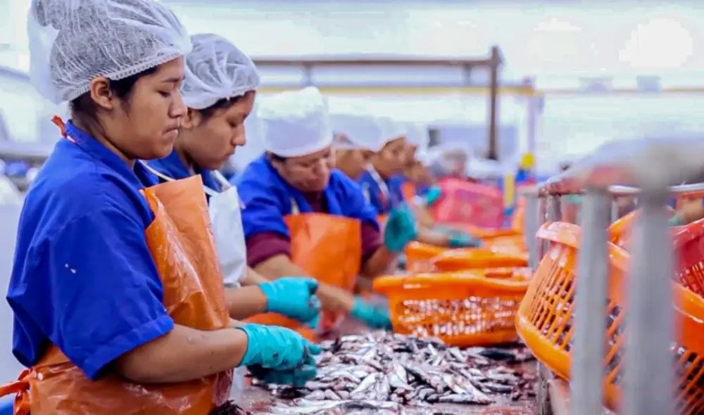 Sanipes inspecciona y fiscaliza en campo a los operadores, a fin de dar cumplimiento a la normativa vigente. Foto: Produce Sanipes inspecciona y fiscaliza en campo a los operadores, a fin de dar cumplimiento a la normativa vigente. Foto: Produce