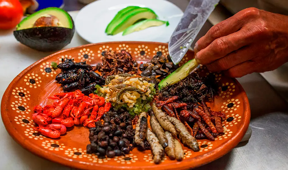 En México existen más de 500 insectos comestibles. Foto: Cocina Fácil