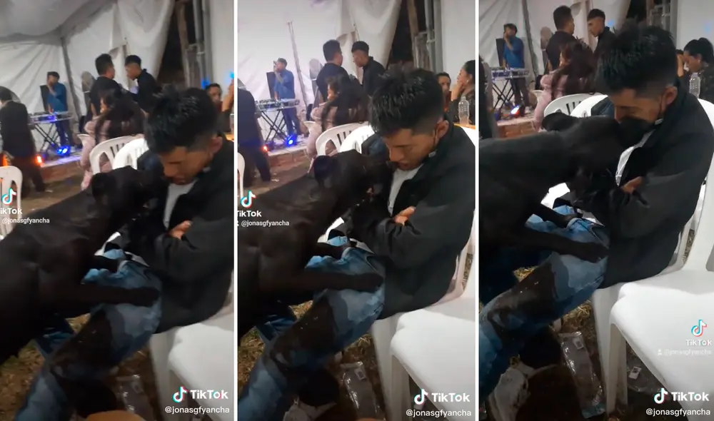 El gracioso viral ha logrado más de un millón de visualizaciones en redes sociales. Foto: composición LR/captura de TikTok/@Jonasgfyancha