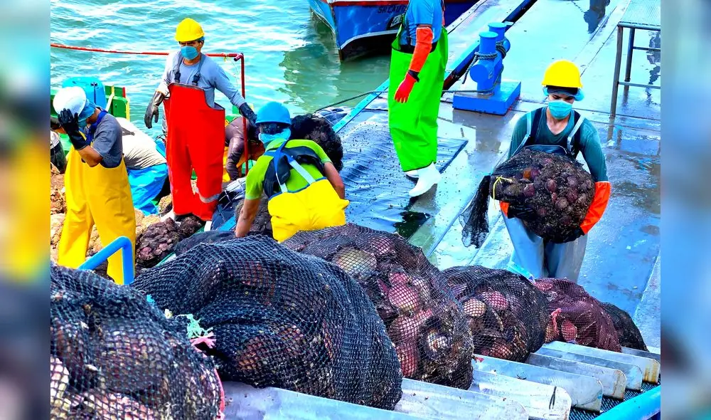 Especialistas de Sanipes confirmaron que, desde el mes de abril de 2021 a la fecha, se han ejecutado 23 monitoreos sanitarios. Foto: Produce