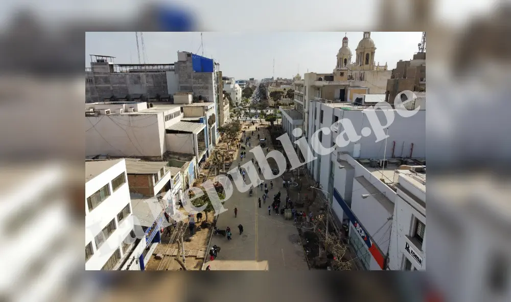 El gerente general de la MPCH afirmó que se habrían cometido errores en la tala de árboles. Foto: Clinton Medina/La República El gerente general de la MPCH afirmó que se habrían cometido errores en la tala de árboles. Foto: Clinton Medina/La República