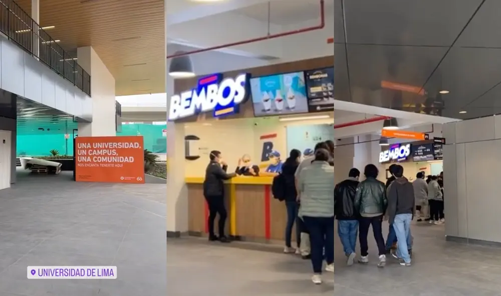 El video suma más de 162.000 visualizaciones. Foto: composición LR/@xapalacioscx/TikTok