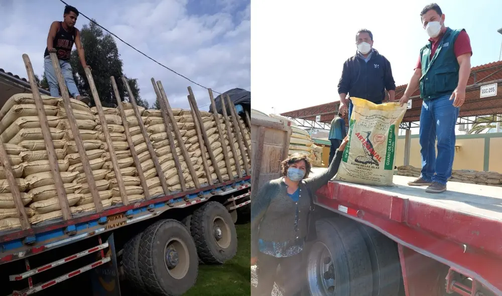 Se entregará de 221,50 toneladas de guano de las islas, 750 toneladas de gallinaza y 60 toneladas de sulfato de potasio, potasio monoamónico y nitrato de magnesio. Foto: Agro Rural Se entregará de 221,50 toneladas de guano de las islas, 750 toneladas de gallinaza y 60 toneladas de sulfato de potasio, potasio monoamónico y nitrato de magnesio. Foto: Agro Rural