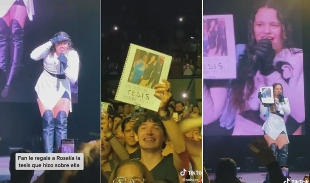 Miles de usuarios quedaron impresionados al ver estas imágenes. Foto: composición LR/captura de TikTok/@sebass_em Miles de usuarios quedaron impresionados al ver estas imágenes. Foto: composición LR/captura de TikTok/@sebass_em