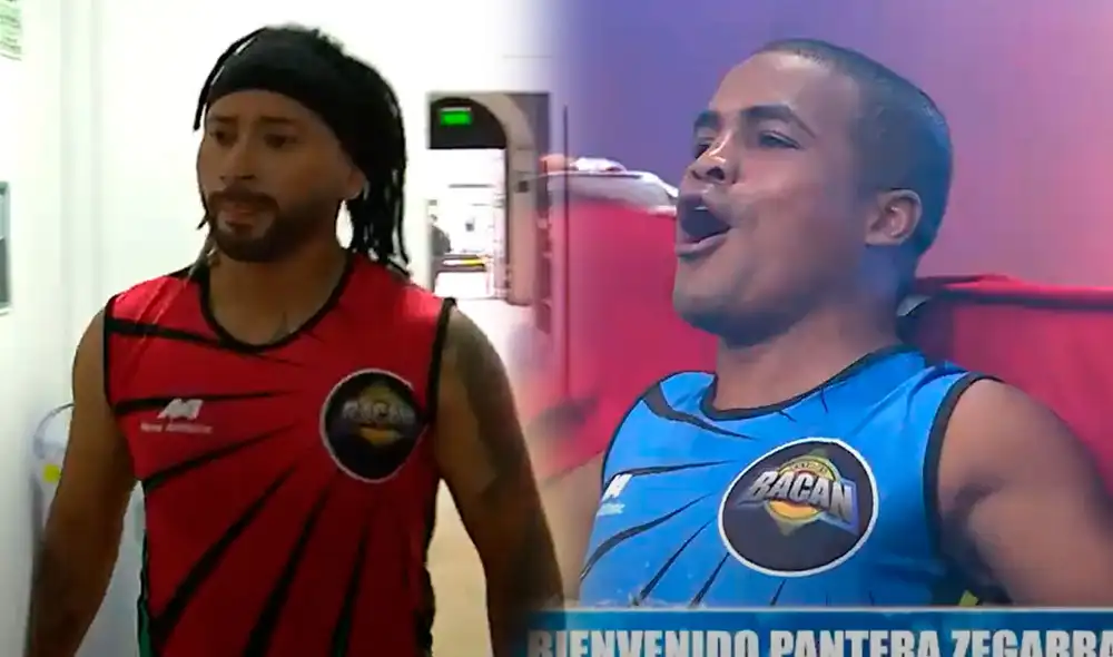 Pantera Zegarra es parte de "Esto es bacán" y Zumba se retira del set. Foto: captura/Willax.