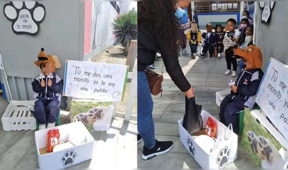 Niños de una institución educativa del nivel inicial del distrito de Chimbote (Áncash) realizan una campaña a favor de los perros callejeros. Foto: composición LR/Facebook/ SCANPE - Perú Niños de una institución educativa del nivel inicial del distrito de Chimbote (Áncash) realizan una campaña a favor de los perros callejeros. Foto: composición LR/Facebook/ SCANPE - Perú