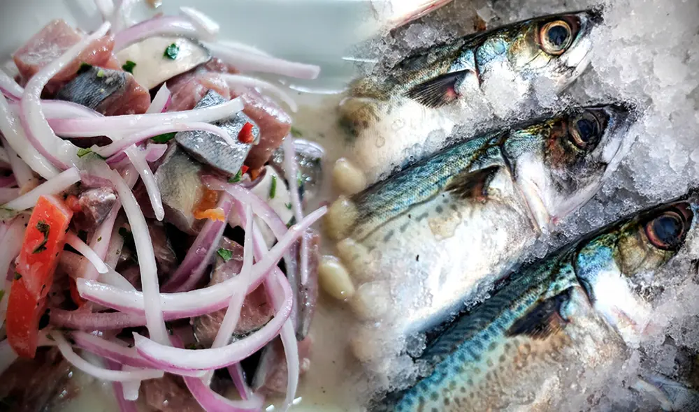 El ceviche de caballa es un plato bajo en calorías y ocupa uno de los primeros lugares en la gastronomía piurana. Foto: composición de Gerson Cardoso/La República/A Comer Pescado