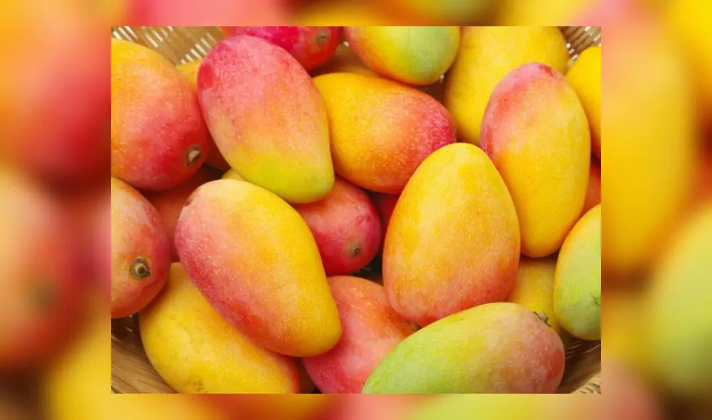 Producción del mango en el norte disminuyó. Foto: La República