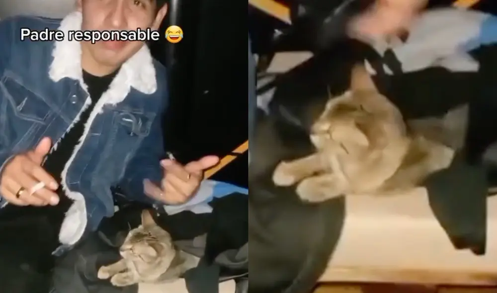 El video cuenta con diversas reacciones. Foto: composición LR/@jere2mar9/TikTok